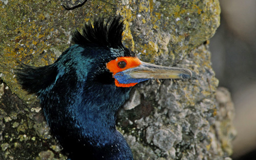 ���������� � �����